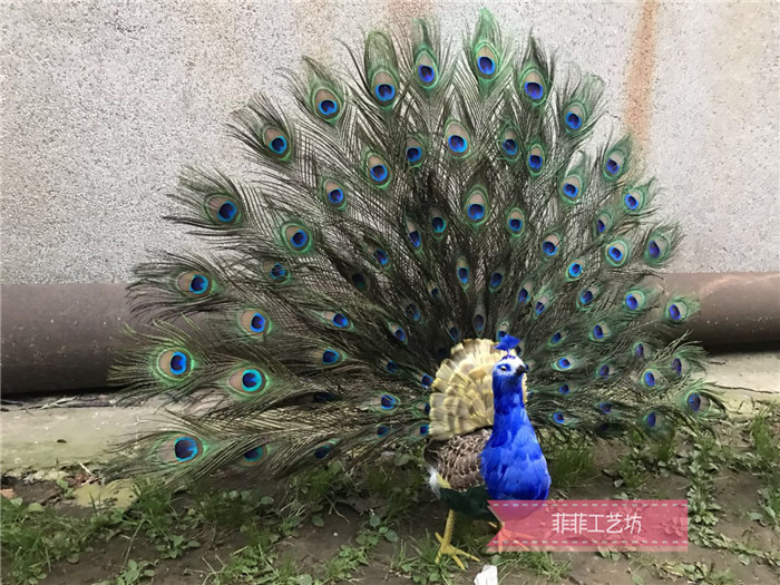 影视拍摄道具婚庆舞台孔雀开屏