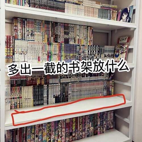 双层书立架学生书桌上阶梯式