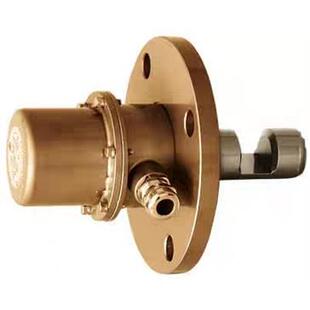议价LWⅢ-H4/LWⅢ-H2  DETECTOR INGRES