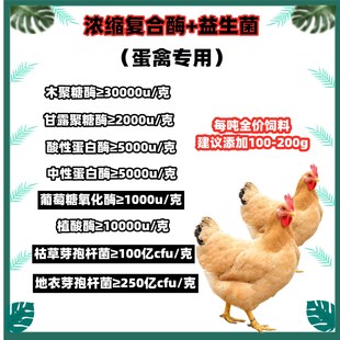 蛋禽用浓缩酶制剂+益生菌 高含量促消化调肠道复合酶益生菌