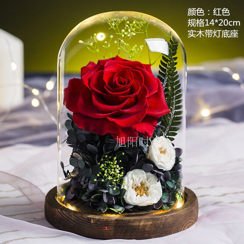 创意永生花玻璃罩夜灯实