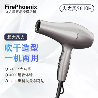 火之凤5610H吹风机理发店专用发型师大功率发廊超轻大风无刷风筒