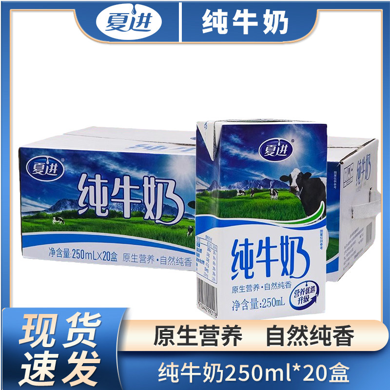 夏进纯牛奶20盒整箱250ml青少年儿童孕妇中老年学生早餐营养牛奶_虎窝淘