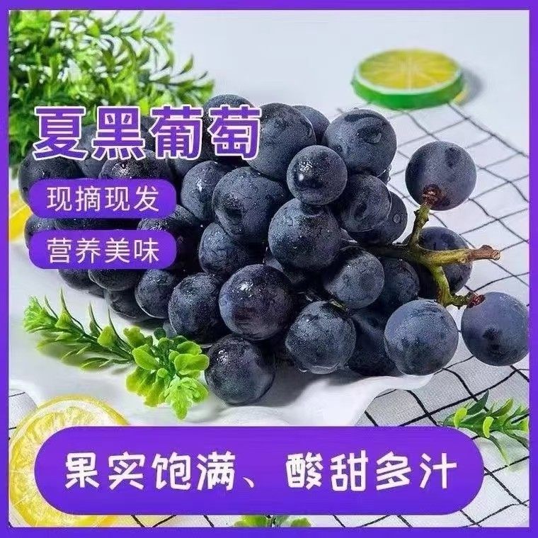 夏黑葡萄5斤新鲜应当季无籽葡萄提子黑加仑孕妇水果整箱