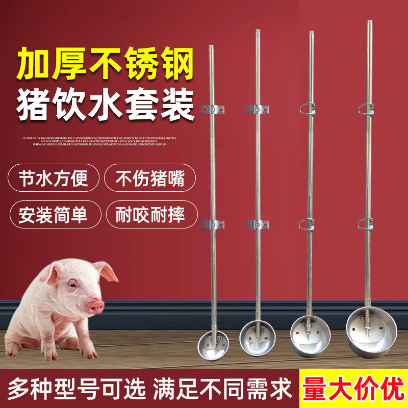 猪饮水嘴不锈钢猪饮水碗套装猪用饮水器限位栏自动喂水养猪设备