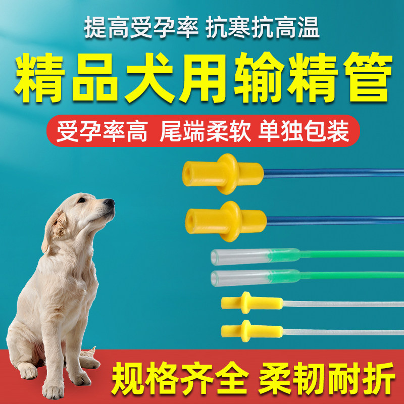 犬用一次性输精管宠物狗犬舍一次性人工授精配种器养殖犬精液注射
