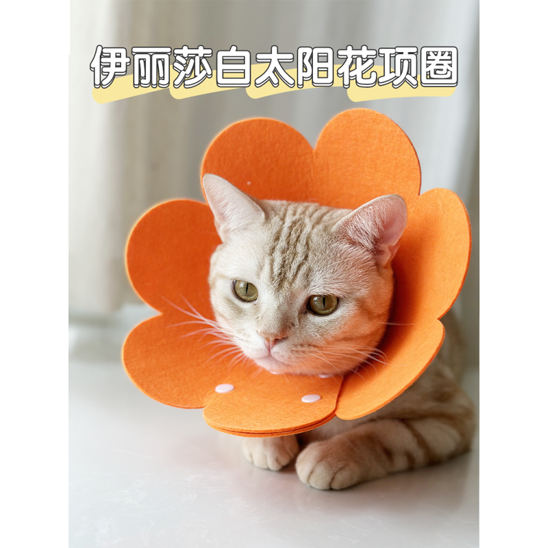 伊丽莎白圈猫咪绝育项圈防咬防舔脖套圈羞耻圈猫头套围脖宠物用品