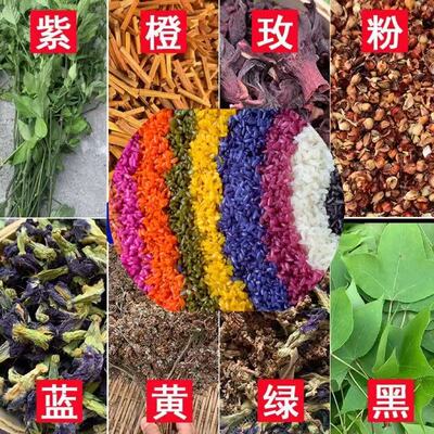 广西五色糯米饭植物染料新鲜紫蓝草红蓝草枫叶密蒙花三月三染饭花