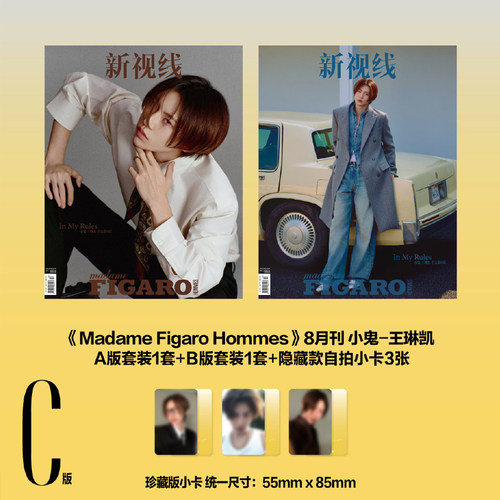计入销量 费加罗男士8月 C版 王琳凯封面A+ B版套装+隐藏款自拍小卡3张 费加罗男士/新视线《WonderMUSIC》杂志2025年ISSUE018/7月