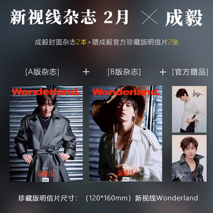 成毅A 2月 B封面 新视线Wonderland 睿士ELLEMEN杂志2024年1 赠珍藏版 明信片2张 官方版 成毅封面 计入销量 新视线2月