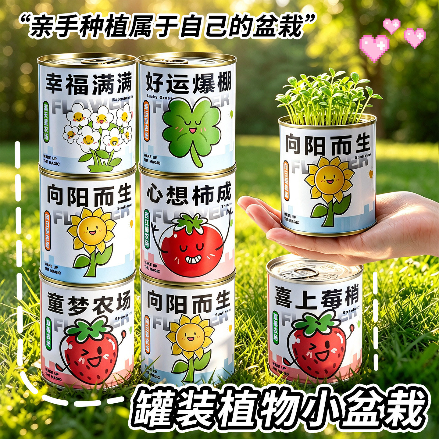 情绪稳定小盆栽种植罐头办公室内桌面懒人绿植向日葵驱蚊植物盲盒