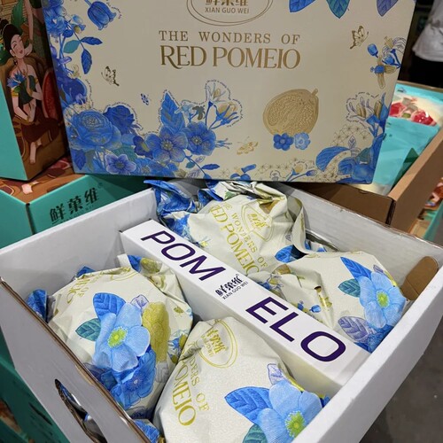 鲜果维青花瓷红柚 新鲜红肉蜜柚纯甜柚子 整箱4个毛9.5斤左右