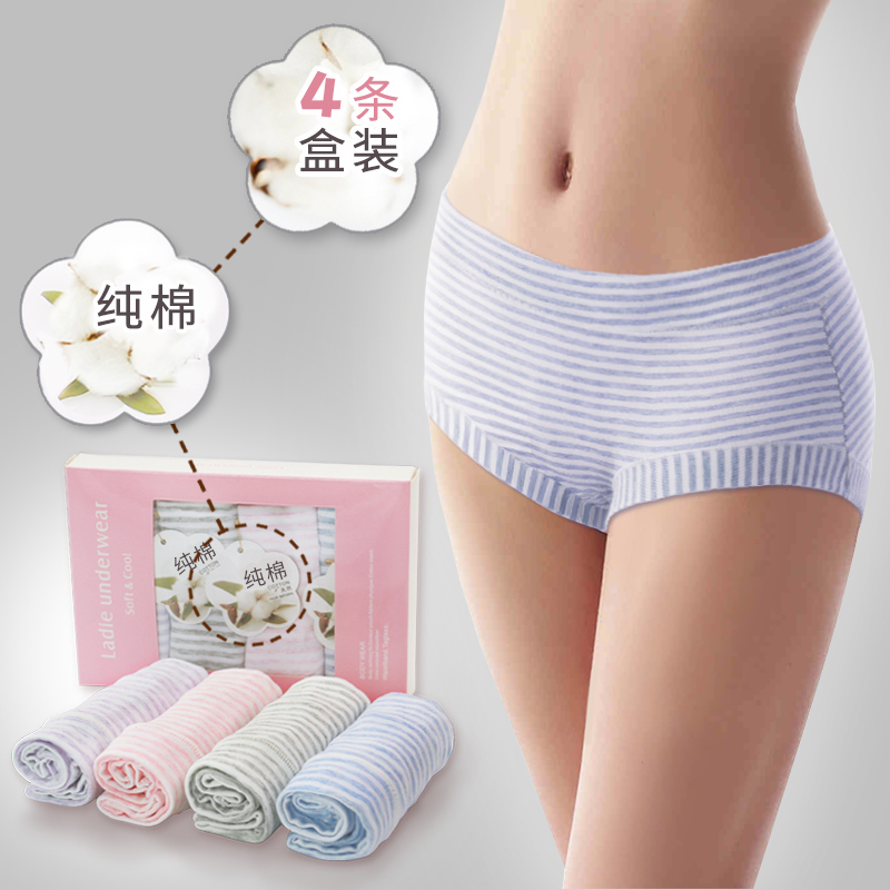 中腰全棉質抗菌學生平角短褲頭