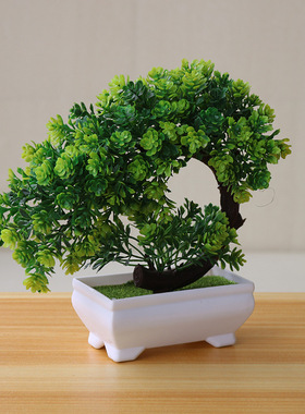 仿真植物盆栽室内桌面摆件