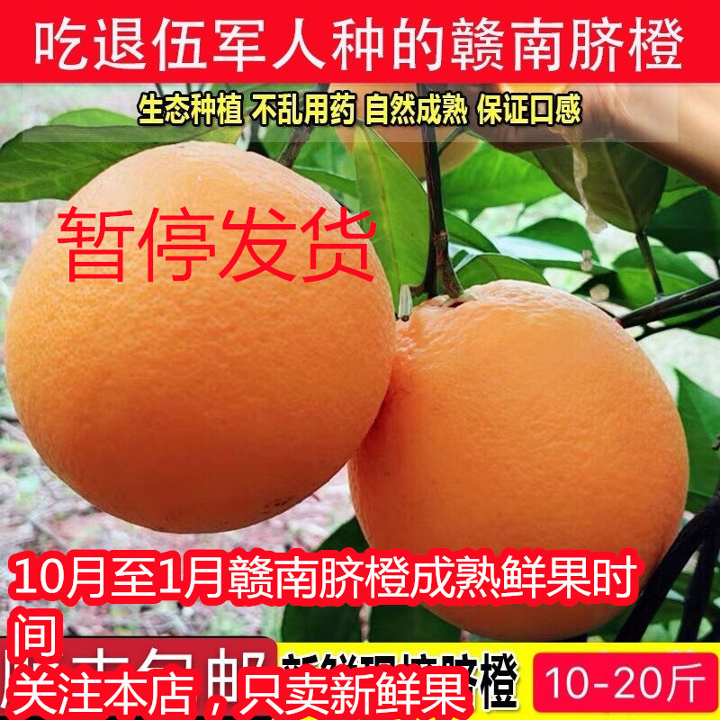 江西正宗赣南脐橙新鲜10斤华农兄弟果园直发橙皇赣州特产现摘橘橙