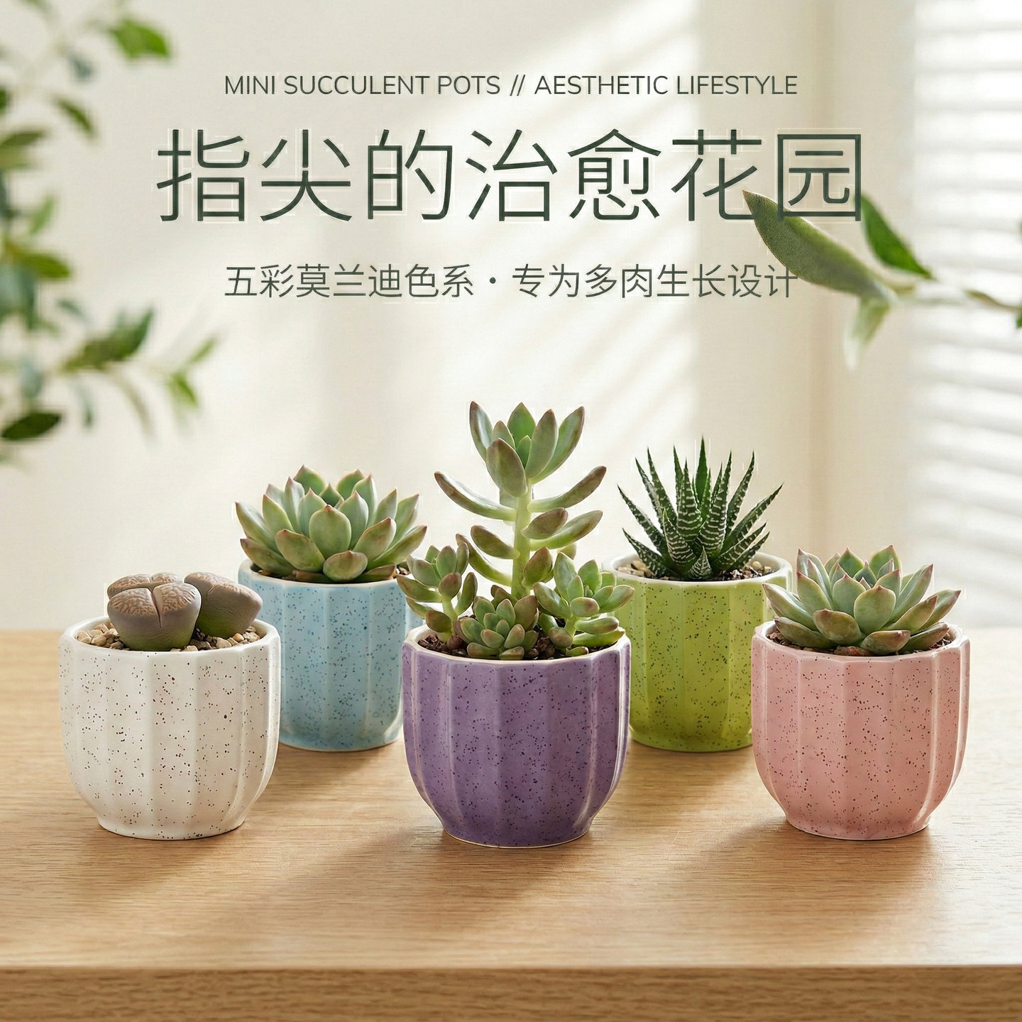 多肉小花盆陶瓷创意个性加厚白瓷渐变简约粗陶客厅阳台盆景绿萝花