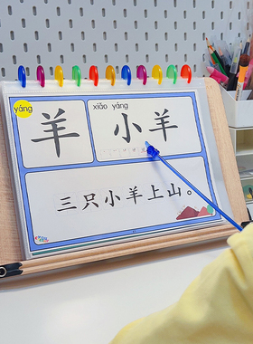 幼儿识字卡我的第一本汉字书大字拼音版认字卡片幼儿宝宝早教神器