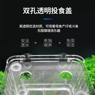 孔雀鱼孵化盒鱼缸隔离盒热带鱼小鱼幼鱼鱼苗小号大号产卵器繁殖箱