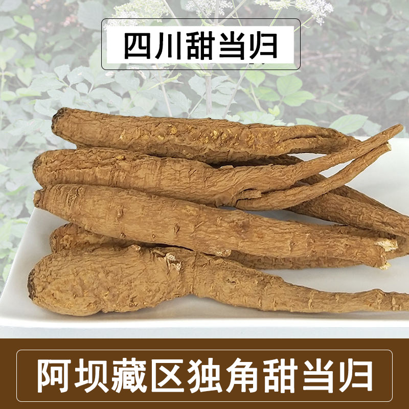 四川阿坝藏区甜当归无硫500g