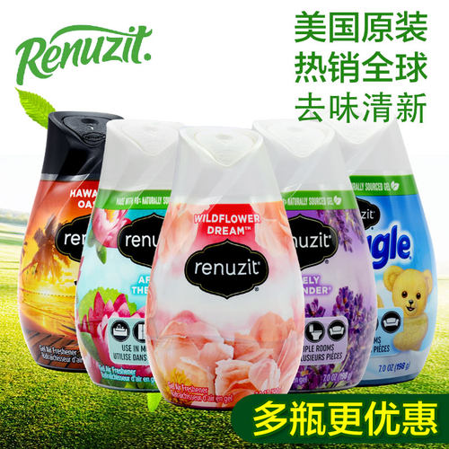 renuzit美国车载空气清新剂