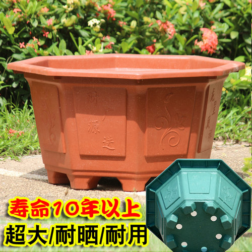 八角形塑料花盆三角梅种大树盆景