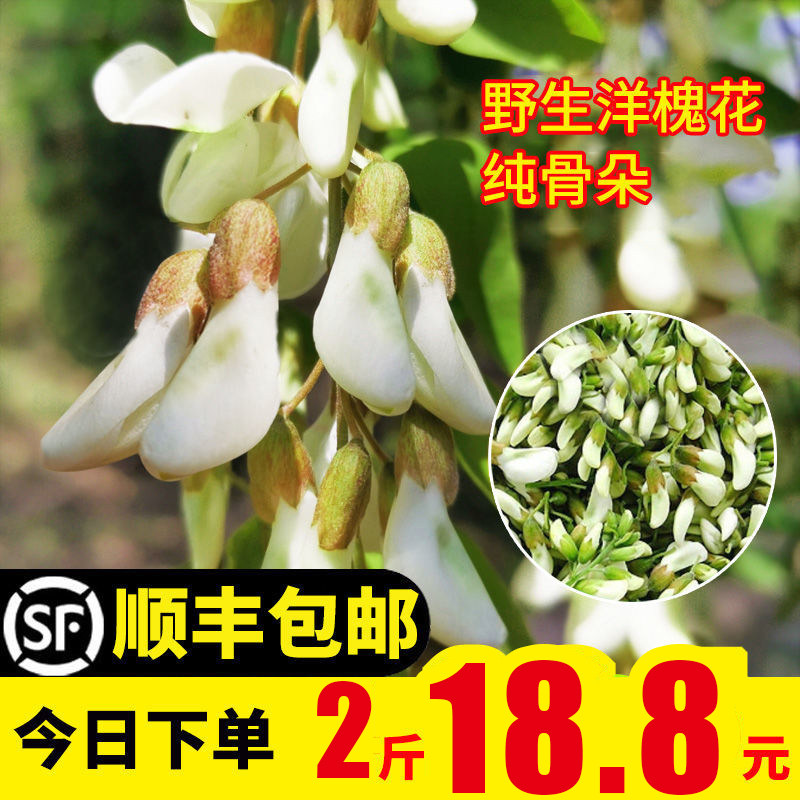 2022现摘新鲜槐花野菜蔬菜洋槐花新鲜杨槐花骨朵河南3斤顺丰包邮