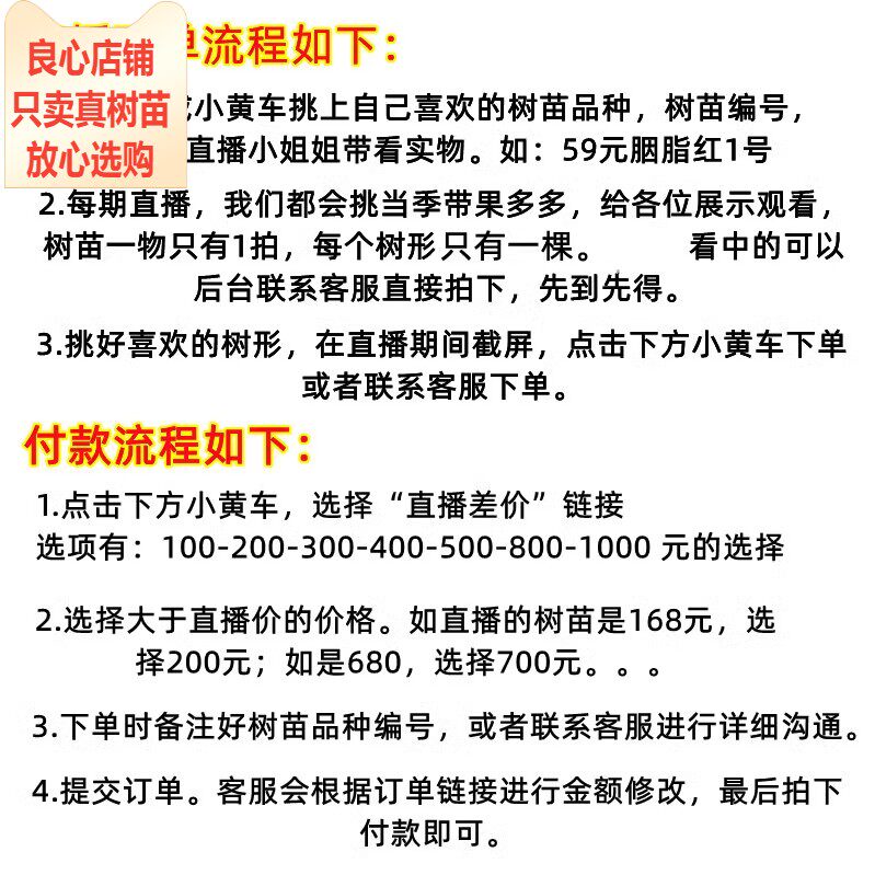 大黄烽园艺直播链接嘉宝果龙眼荔枝香水柠檬番石榴庭院盆栽树苗