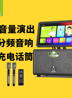 SOK 天赋SK-738户外音响广场舞视频显示屏家用K歌蓝牙音箱大功率