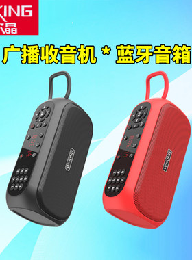 维尔晶 X3便携式蓝牙音箱老人收音机随身听播放器户外音响大音量