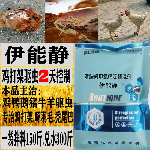 Yi Nengjing Chicken Duck, Goose, свинина, крупный рогатый скот, овцы, насекомые, насекомого куриное борьба с куриным пером, курица, курица, курица -курицы Anus