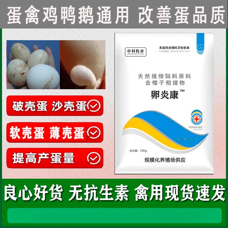 特效卵舒安蛋鸡沙克蛋软壳蛋鸡软蛋鸡烂屁股鸡蛋增蛋蛋禽拥无药残
