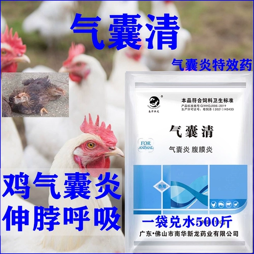 Птица птицы с подушками безопасности и подушками безопасности, открытый рот курица, вытяните шею, дышат, куриный кашель, куриная курица, курица, лекарство от курицы