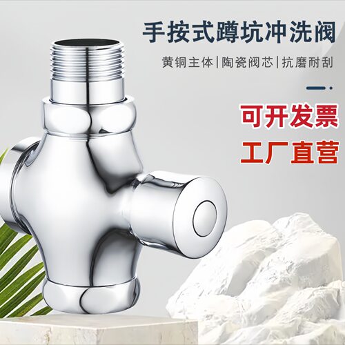 唐浴延时手按式冲水阀全铜体蹲便器大便冲洗阀厕所阀门自闭式开关