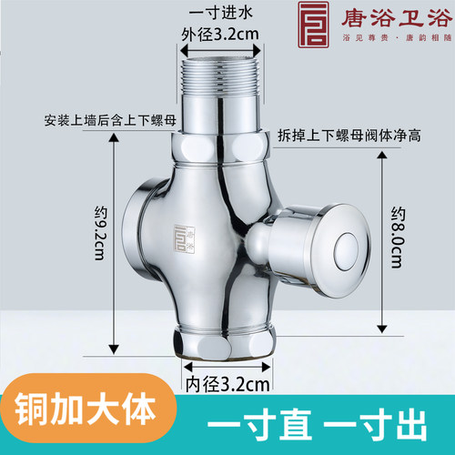 唐浴延时手按式冲水阀全铜体
