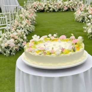 婚礼巨特大型tablecake庆典透明22寸16寸60/80cm生日圆型蛋糕盒子