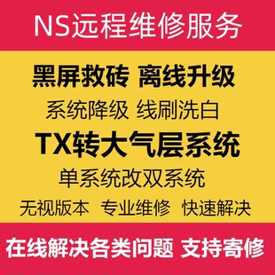 SWITCH升級系統20.4.0NSTX系統轉大氣層維修黑屏報錯降級救磚洗白