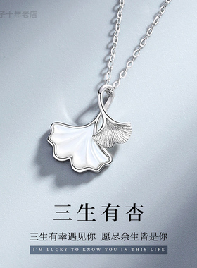 PT950铂金锁骨链18K白金镀金套链
