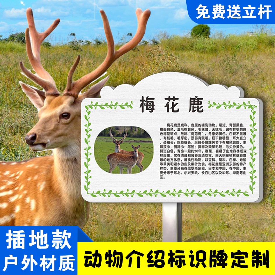动物介绍植物介绍插地牌动物园