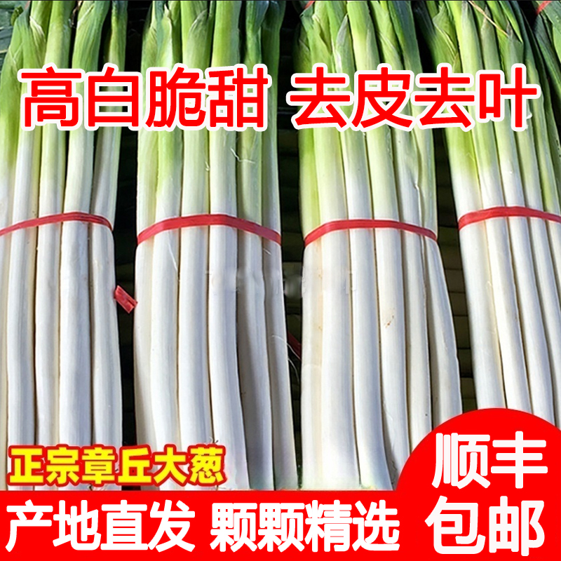 章丘大葱新鲜精选高白脆甜