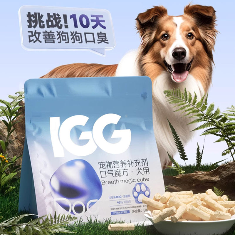 宠物益生菌肠胃调理肠胃