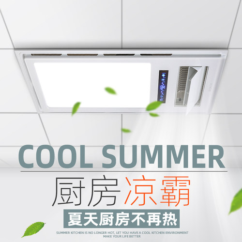 松野超薄照明换气二合一专用凉霸