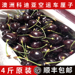 澳洲空运kordia进口车厘子新鲜科迪亚大樱桃4斤礼盒装