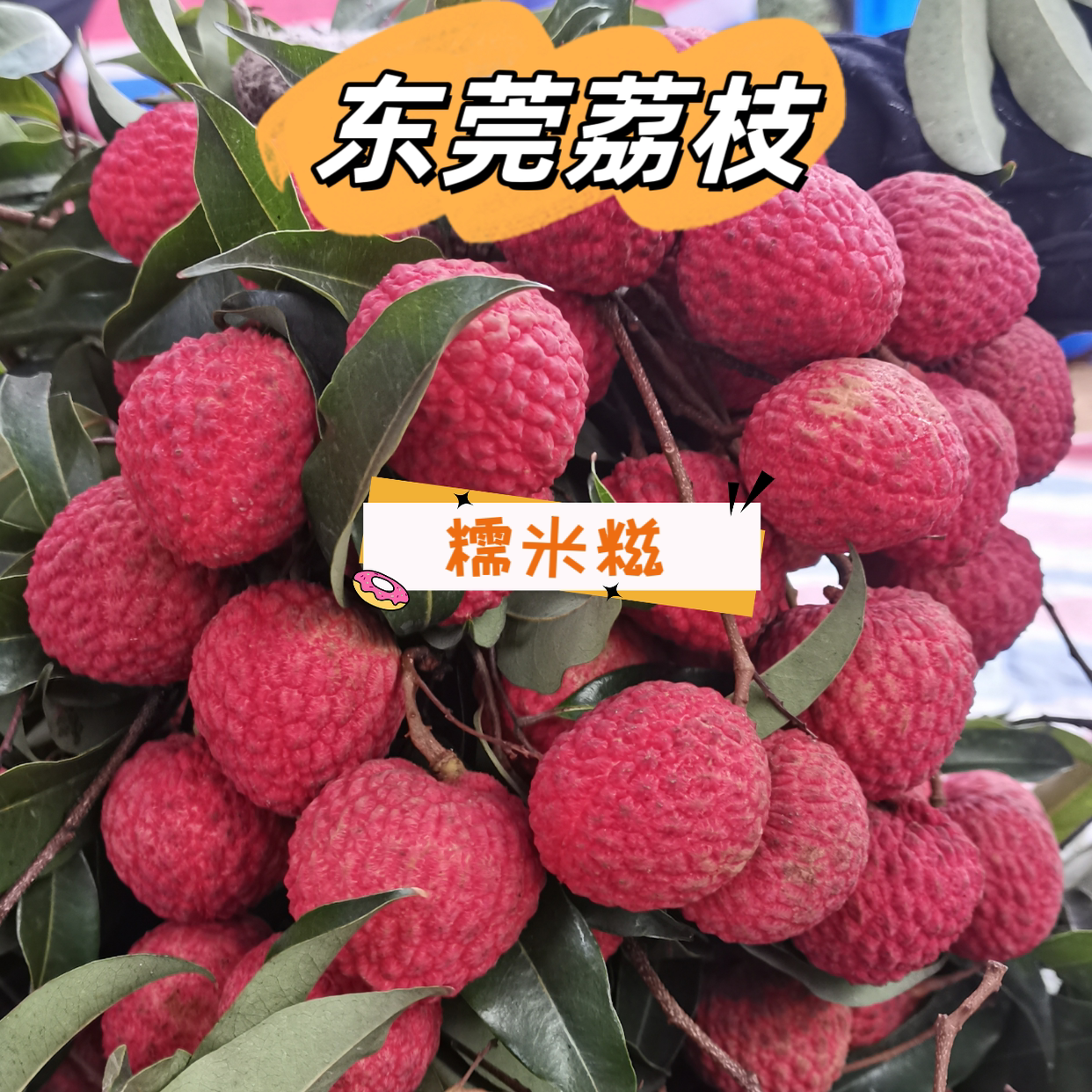 老树糯米糍 东莞荔枝 现摘现发 27-6月份上市发货