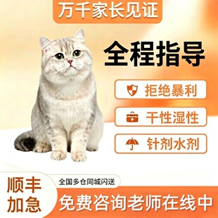 猫喵咪针剂油剂水剂干性湿性口服片剂针剂肝精营养液急闪送顺丰