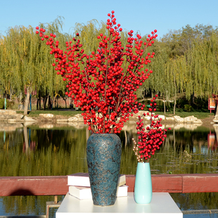 发财果 新年礼物婚庆婚礼装饰喜庆果红红火火客厅摆放 红果金色果