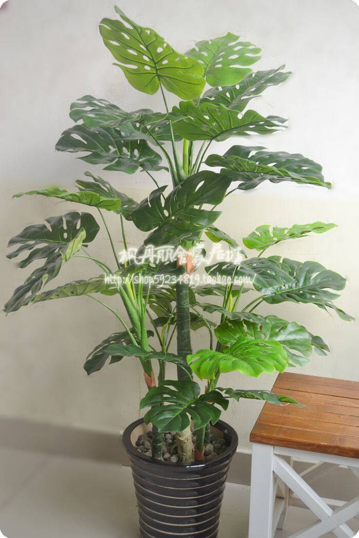 包邮 高仿真绿色植物绿植 大叶假树 5杆龟贝树龟贝竹龟背叶