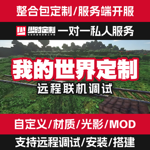 我 世界服务器报错搭建mc服务端定制插件配置开服技术服务远程