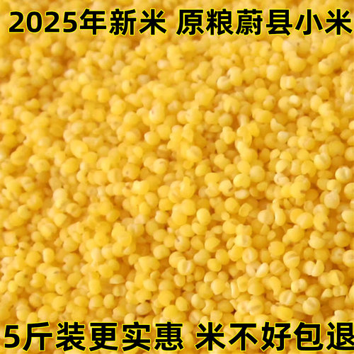 蔚县黄小米5斤蔚州小黄米新米5斤