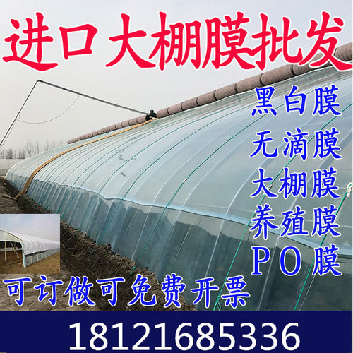 进口防晒保温加厚大棚膜