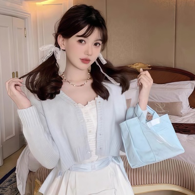 plmmbase同款婴儿蓝奶呼呼手提包